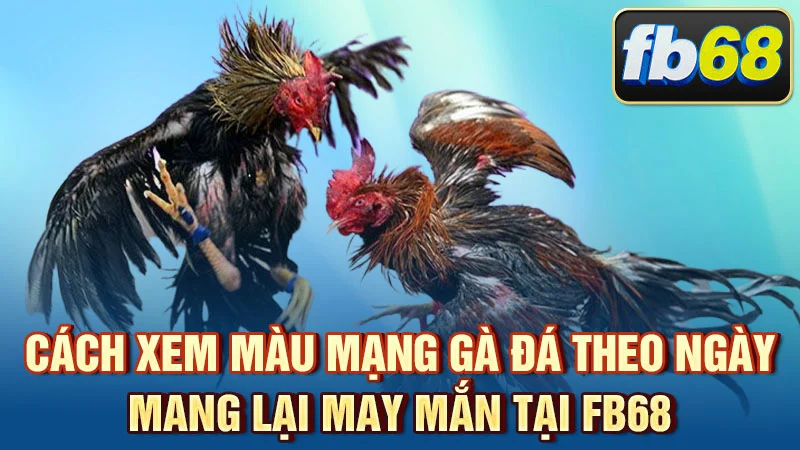 Cách xem màu mạng gà đá theo ngày mang lại may mắn tại FB68